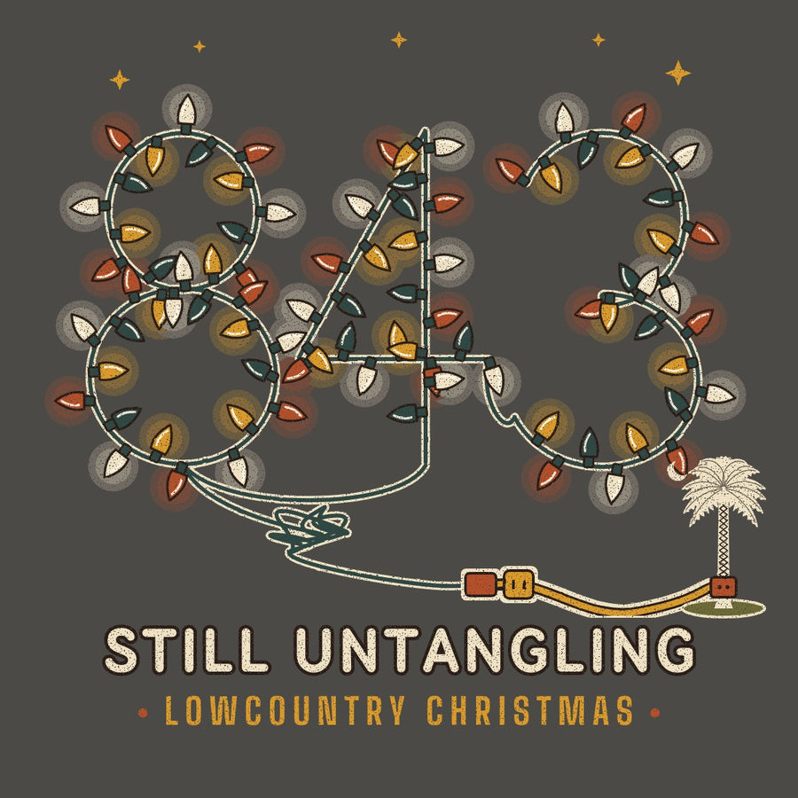 Close-up of the 843 Christmas lights artwork with a palmetto plug