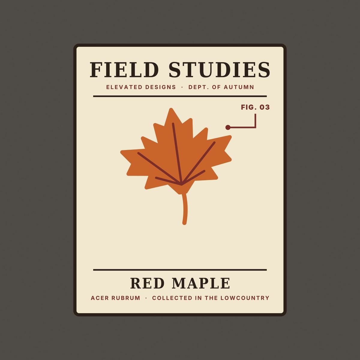 Close-up of the Field Studies Fig. 03 print: a rust maple leaf with maroon veins, a FIG. 03 pointer line and dark serif lettering on a cream card.