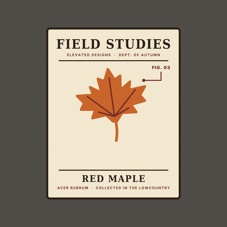 Close-up of the Field Studies Fig. 03 print: a rust maple leaf with maroon veins, a FIG. 03 pointer line and dark serif lettering on a cream card.